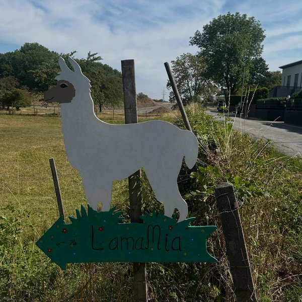 „Manchmal braucht man die Ruhe der Tiere, um sich von den Menschen zu erholen“ 🦙☀️ Auszeit im Lamastall ist unsere...